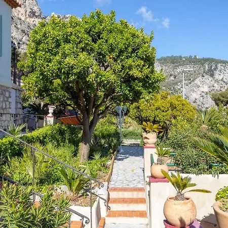 Luxury Blue Orchid 5bd 5 Bath And * Èze
